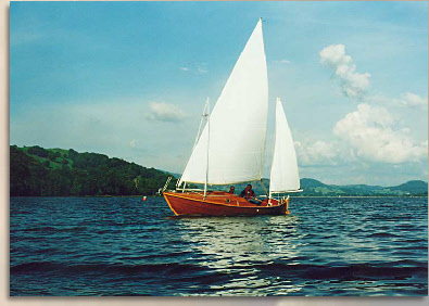 Calidris on Bala Lake